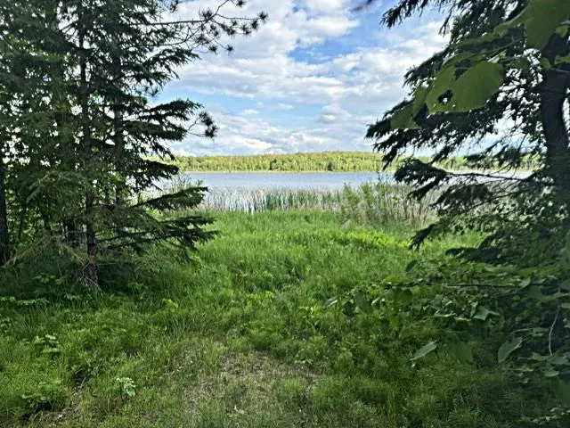 23506 Bezanis Road Cohasset, MN 55721