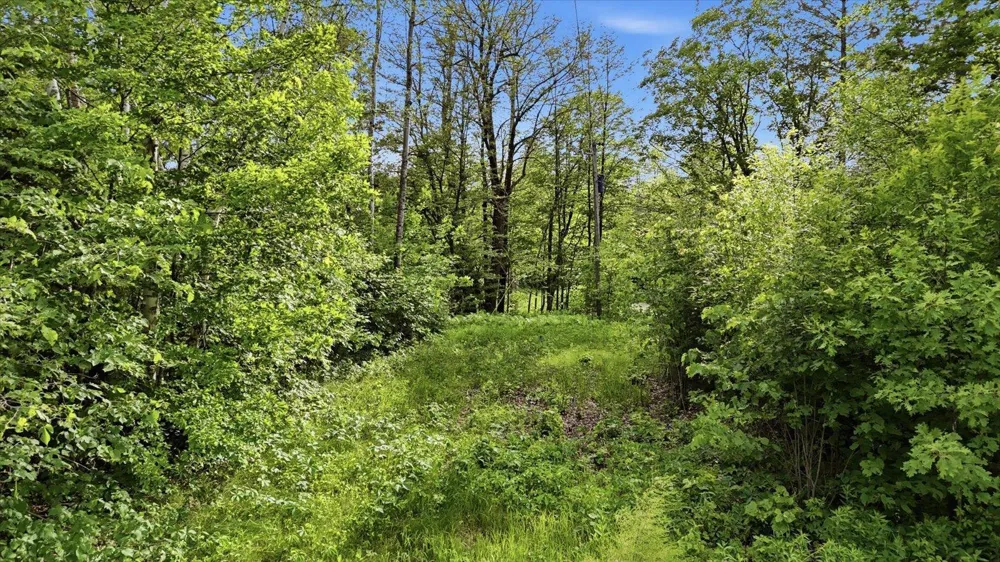 23506 Bezanis Road Cohasset, MN 55721