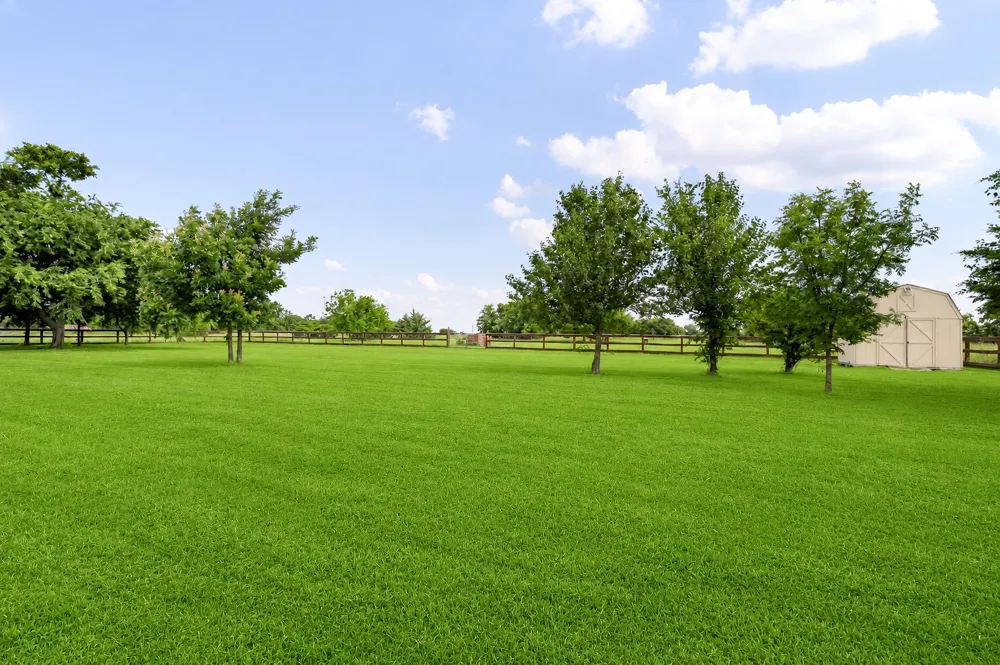 336 Meadows Estate Street Tom Bean, TX 75491