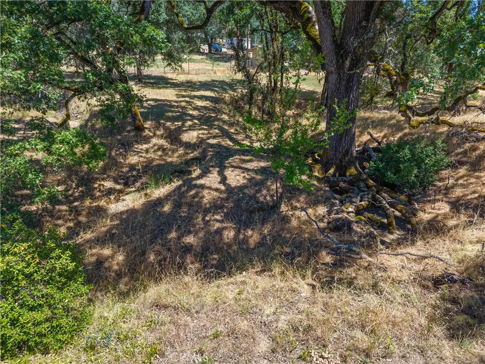 920 Park Way Lakeport, CA 95453