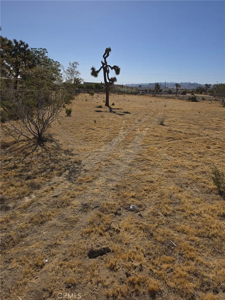 6295 Ruth Yucca Valley, CA 92284