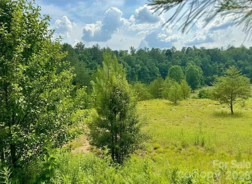 1.94 acres, Lot CB22, Cypress Trail #CB22 Lenoir, NC 28645
