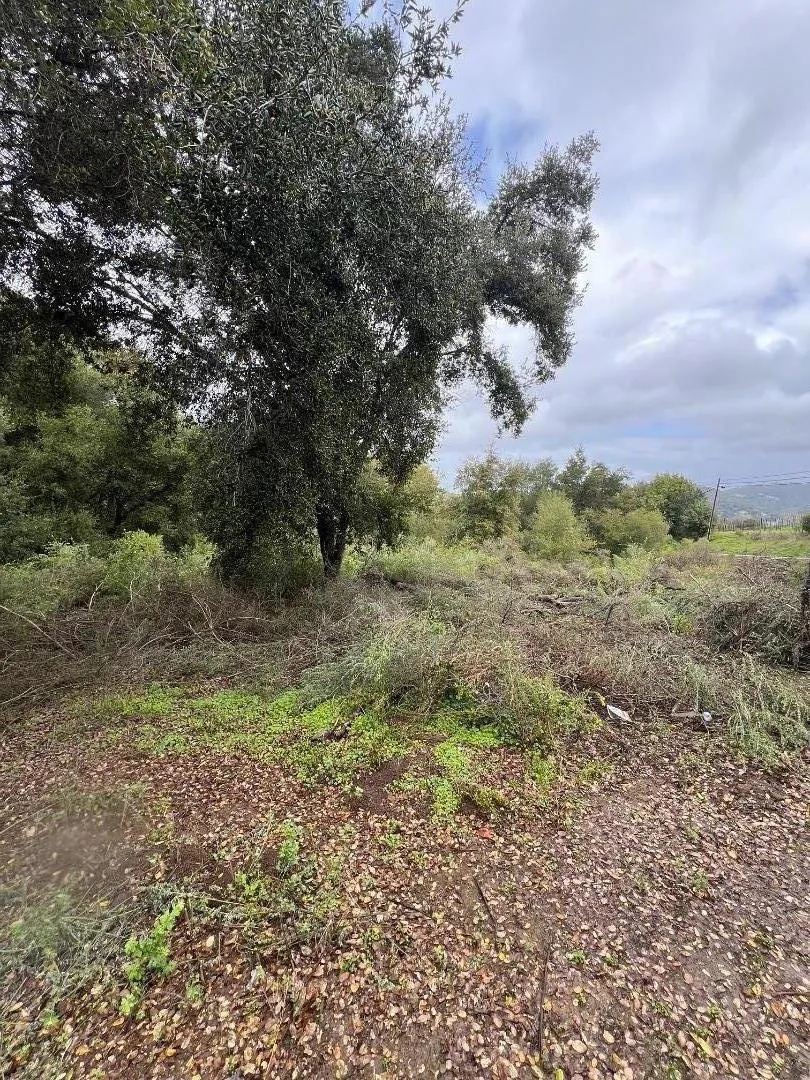 18445 Black Road Los Gatos, CA 95033
