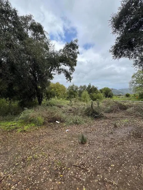18445 Black Road