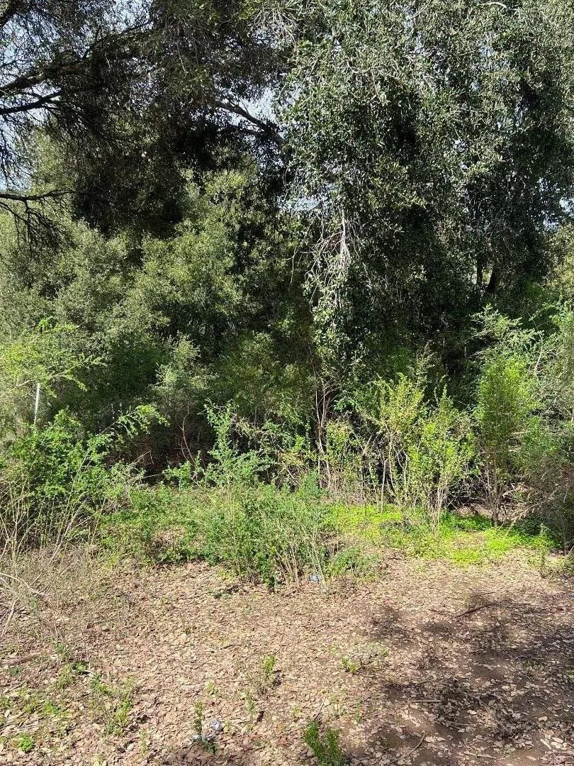 18445 Black Road Los Gatos, CA 95033