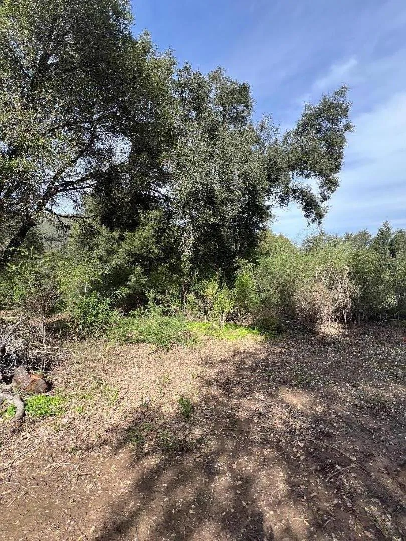 18445 Black Road Los Gatos, CA 95033