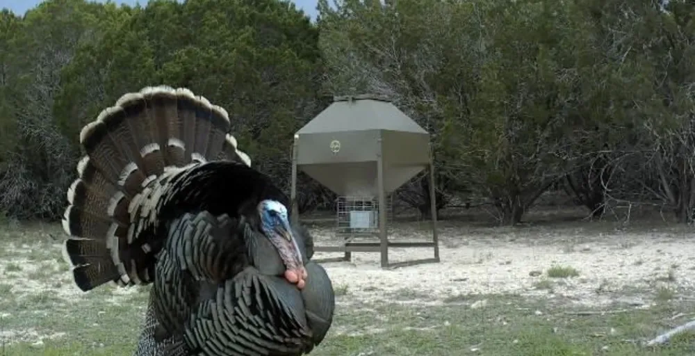 2555 County Road 1139 Lampasas, TX 76550