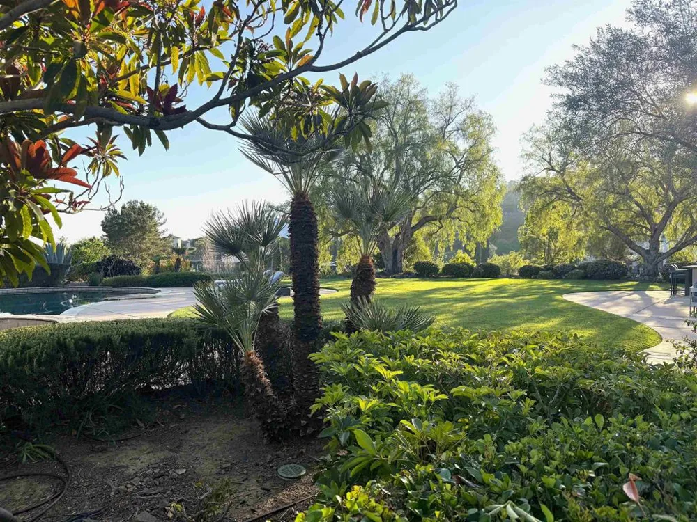 17813 La Amapola Rancho Santa Fe, CA 92067