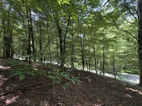 LT3469 Fir Lane