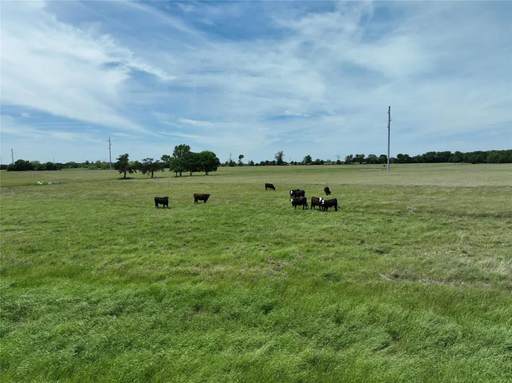 County Road 4830 Leonard, TX 75452