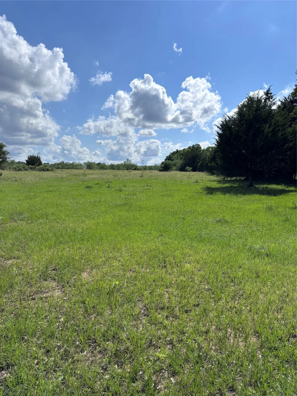 LCR 786 Thornton, TX 76687