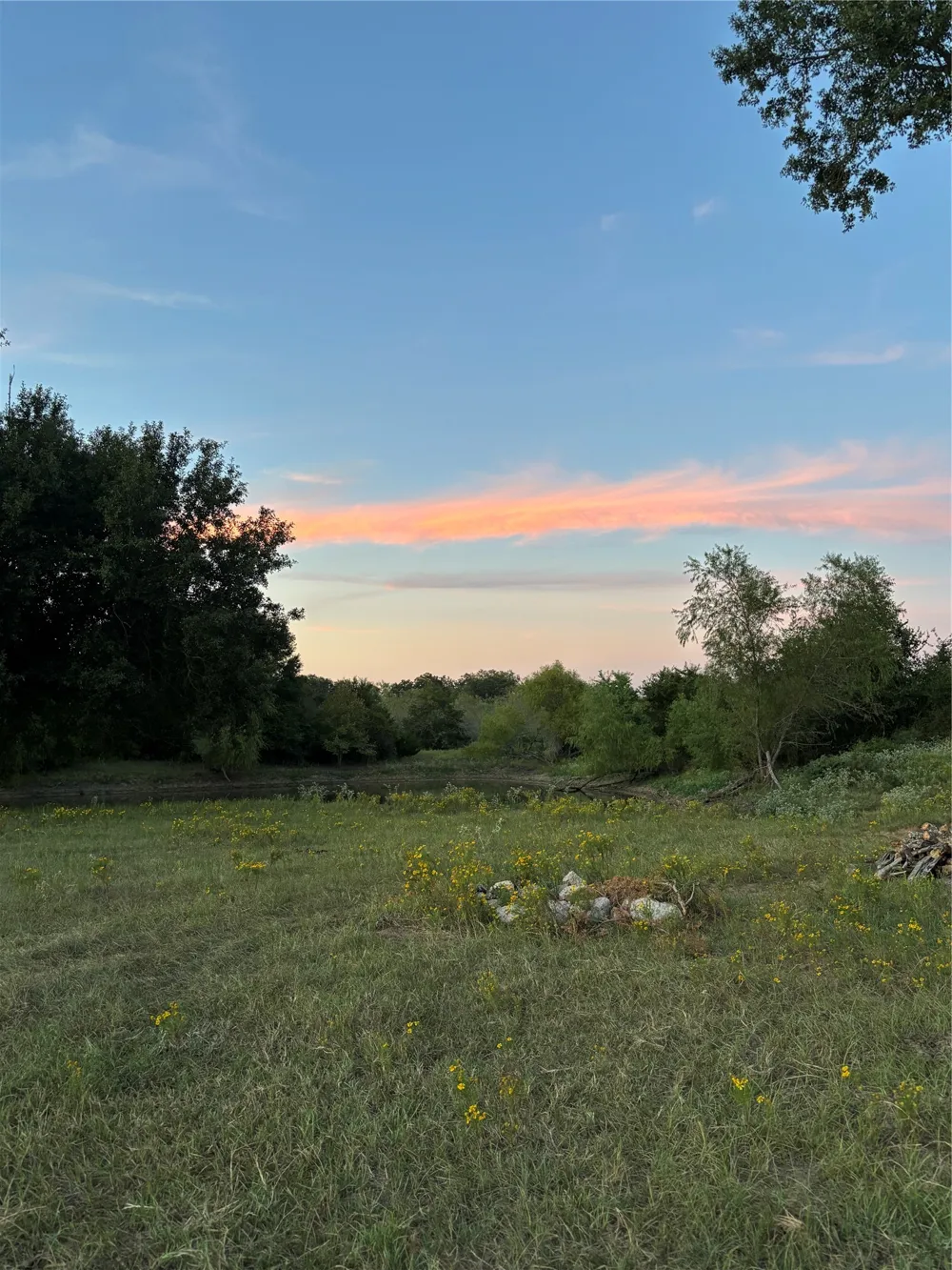 LCR 786 Thornton, TX 76687