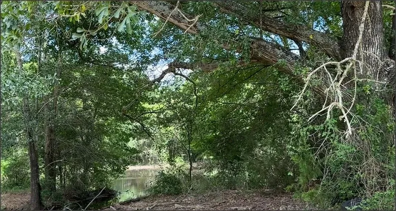 LCR 786 Thornton, TX 76687