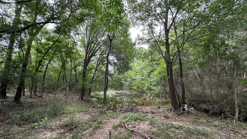LCR 786 Thornton, TX 76687
