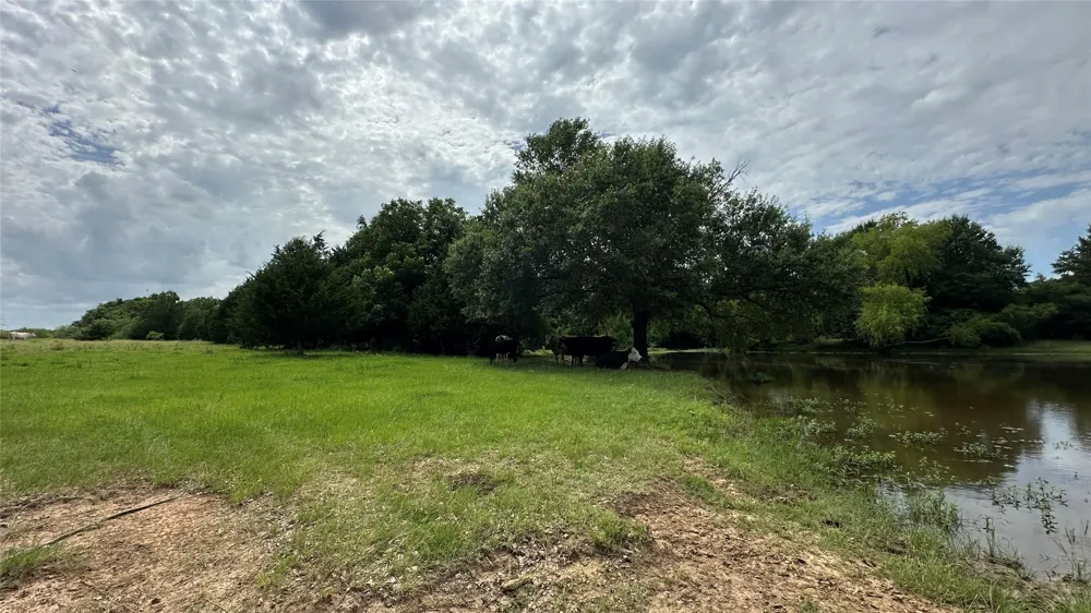 LCR 786 Thornton, TX 76687