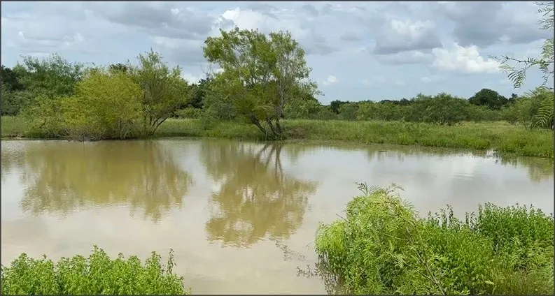LCR 786 Thornton, TX 76687