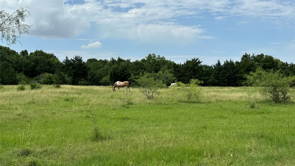 LCR 786 Thornton, TX 76687