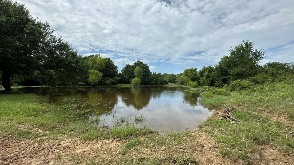LCR 786 Thornton, TX 76687