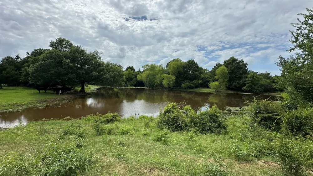 LCR 786 Thornton, TX 76687