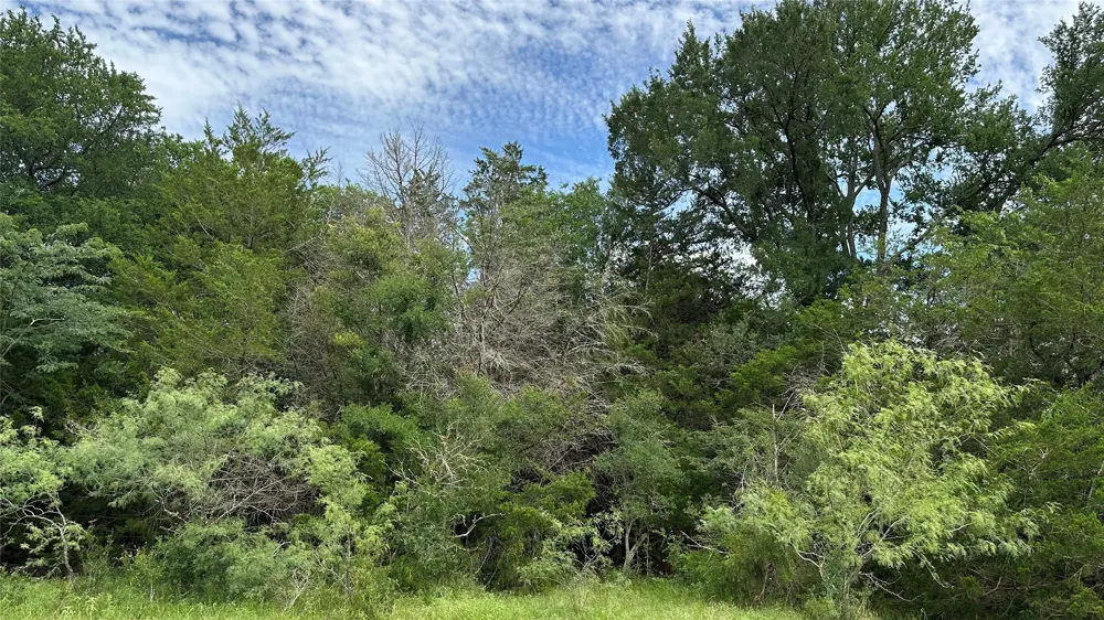 LCR 786 Thornton, TX 76687