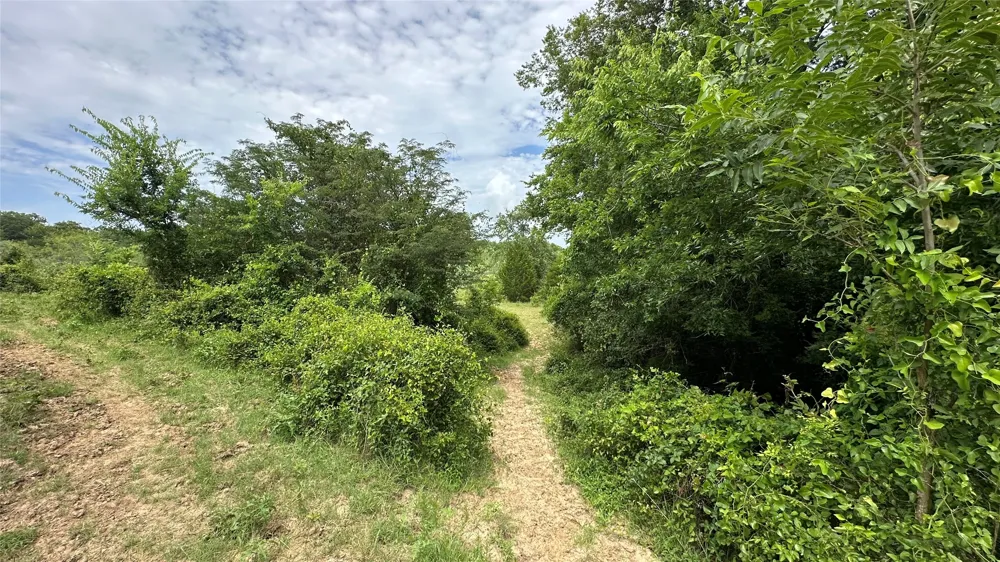 LCR 786 Thornton, TX 76687
