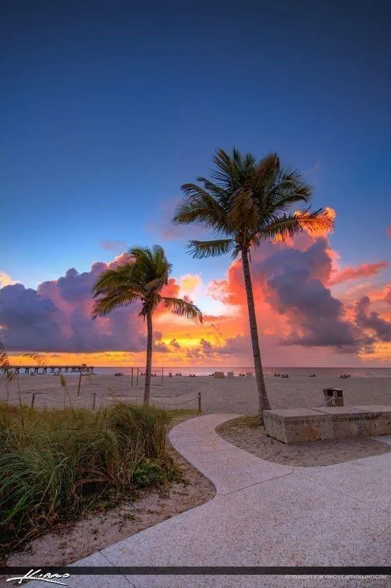 3209 SE 8 STREET #780 Pompano Beach, FL 33062