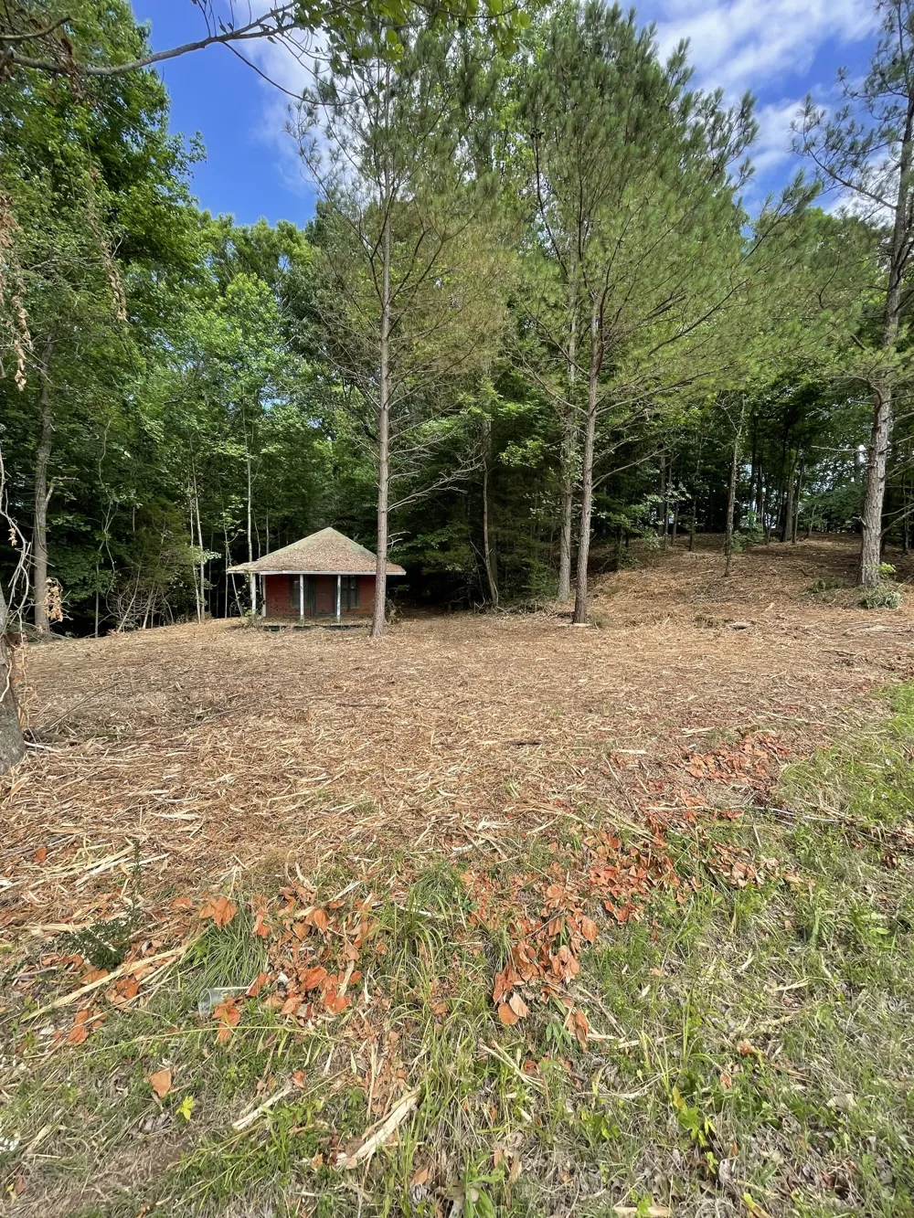 0 Sulphur Creek Road Big Sandy, TN 38221