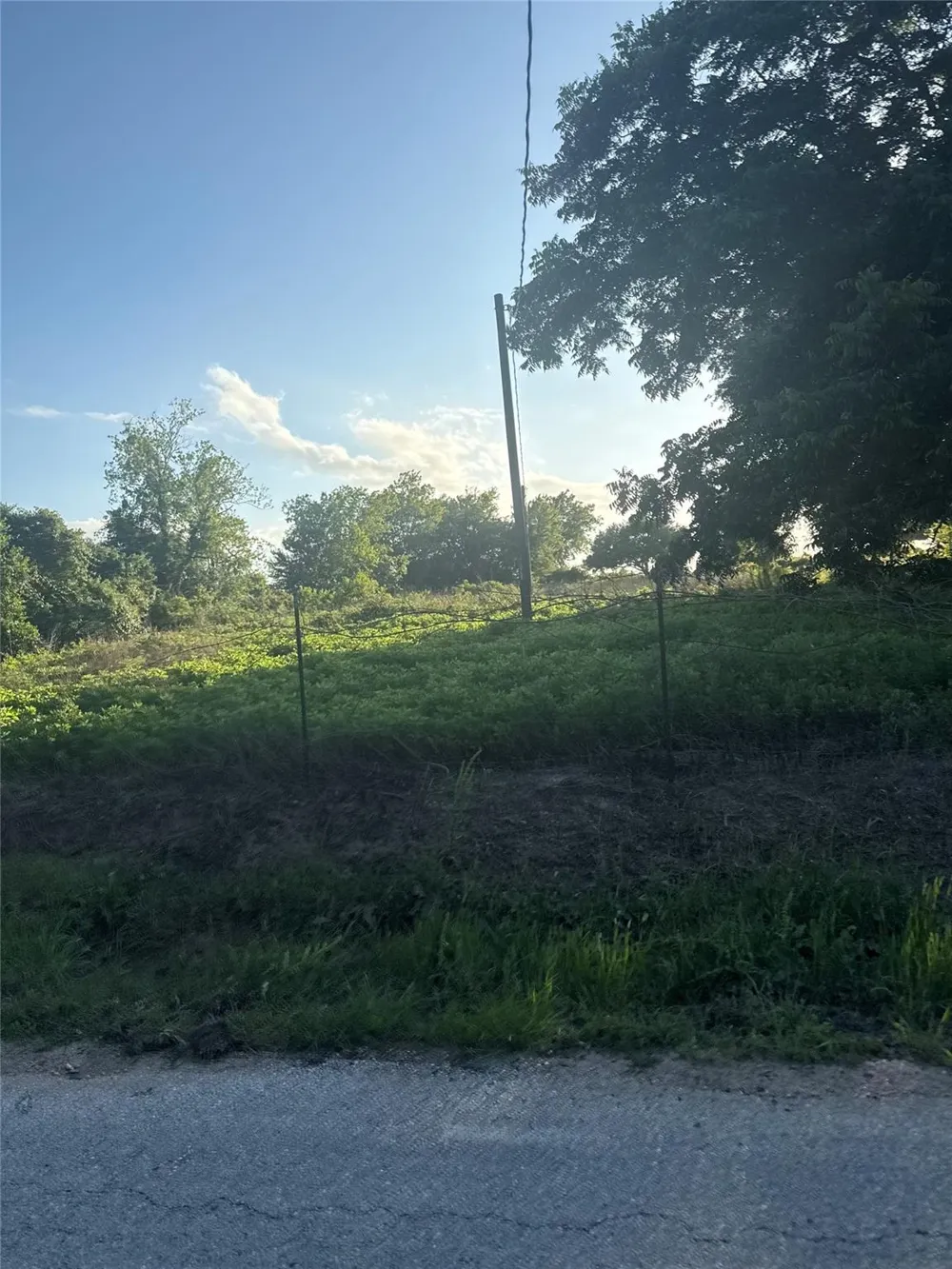 7642 Dixon Road Fulshear, TX 77441