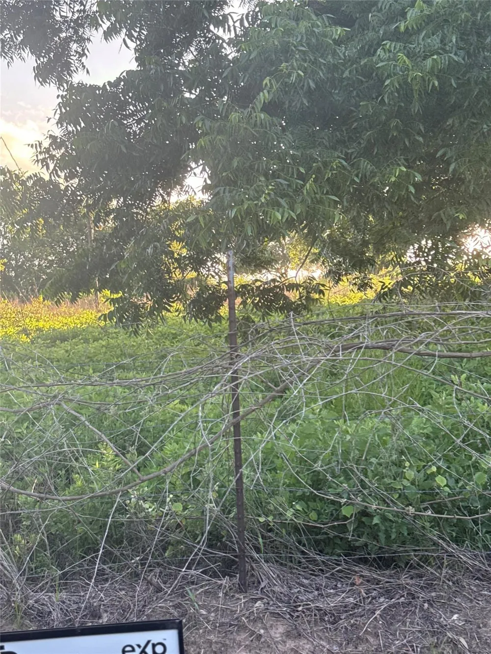 7642 Dixon Road Fulshear, TX 77441