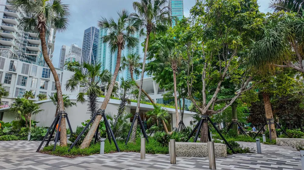 851 NE 1st Avenue #812 Miami, FL 33132