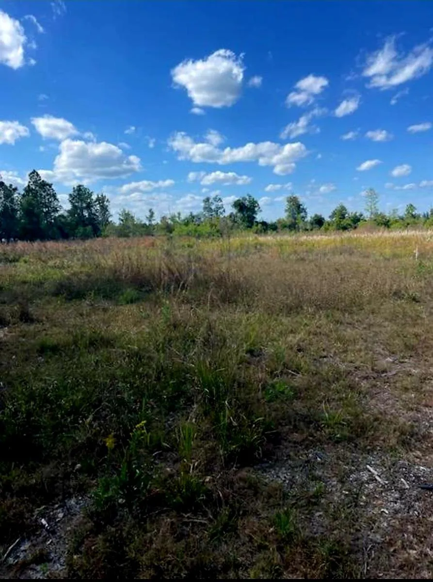 1108306 Oil Well Road Clermont, FL 34714