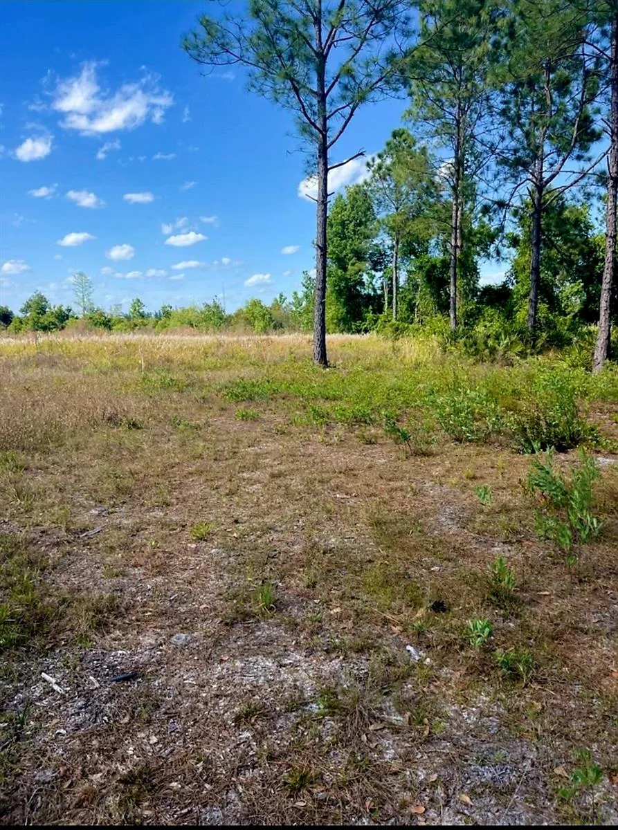 1108306 Oil Well Road Clermont, FL 34714
