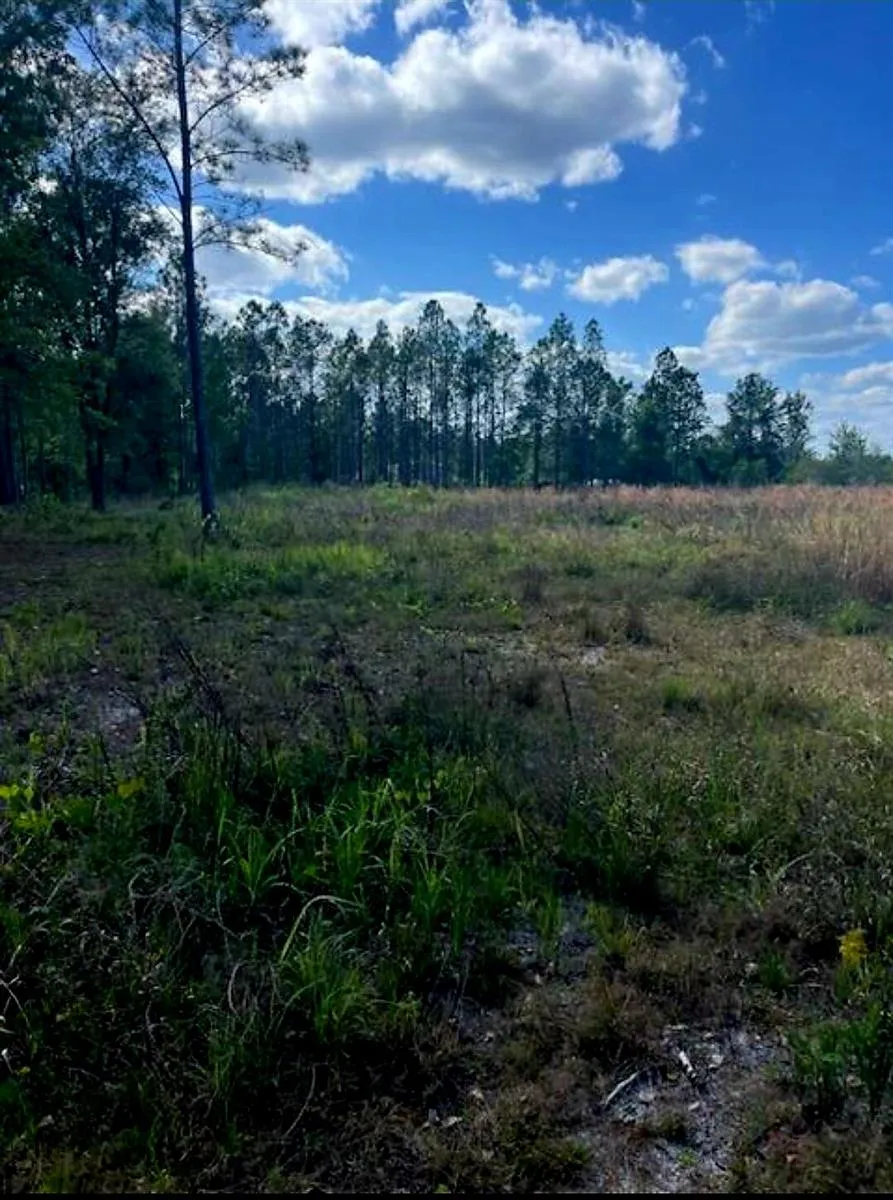 1108306 Oil Well Road Clermont, FL 34714