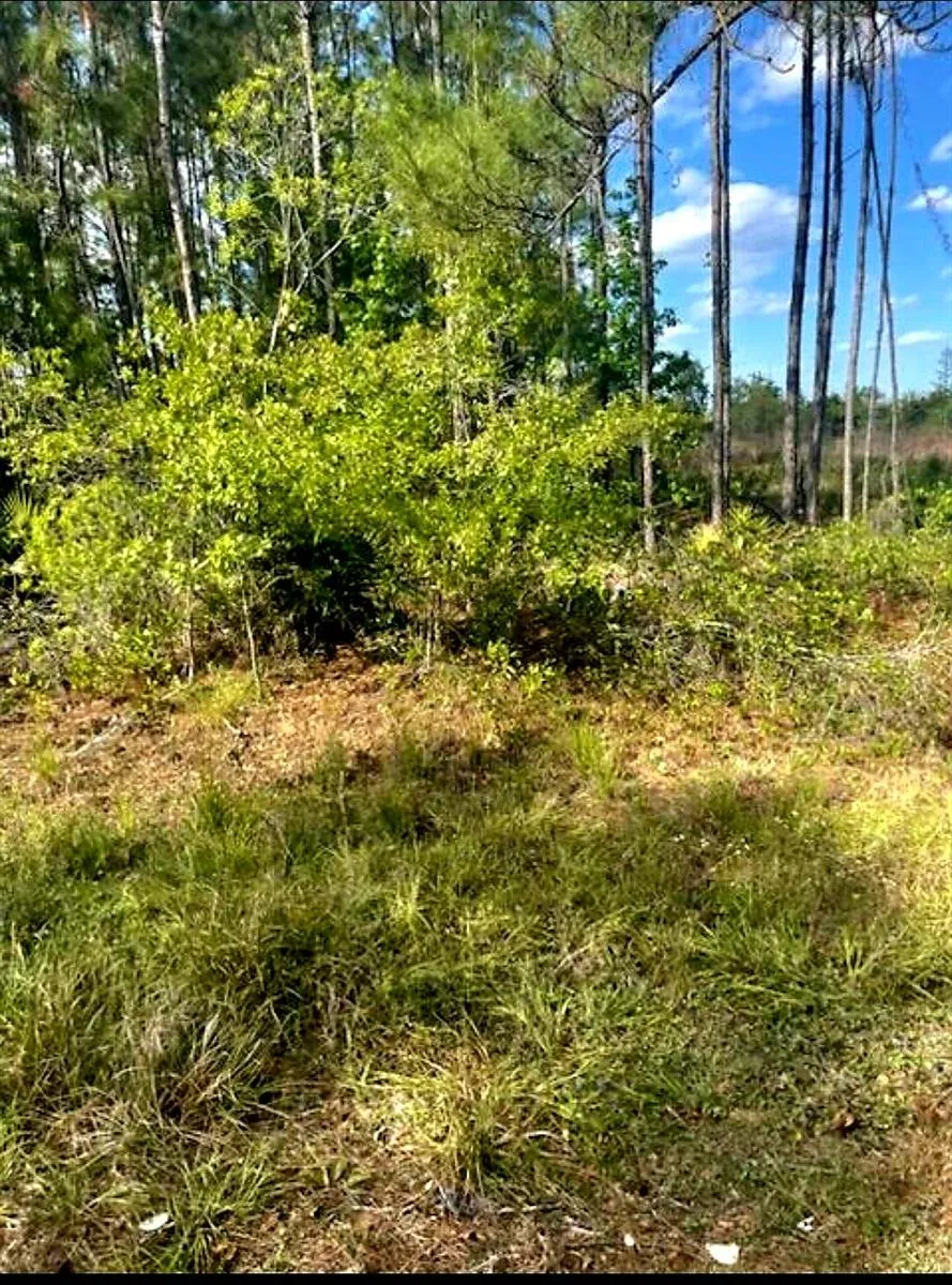 1108306 Oil Well Road Clermont, FL 34714