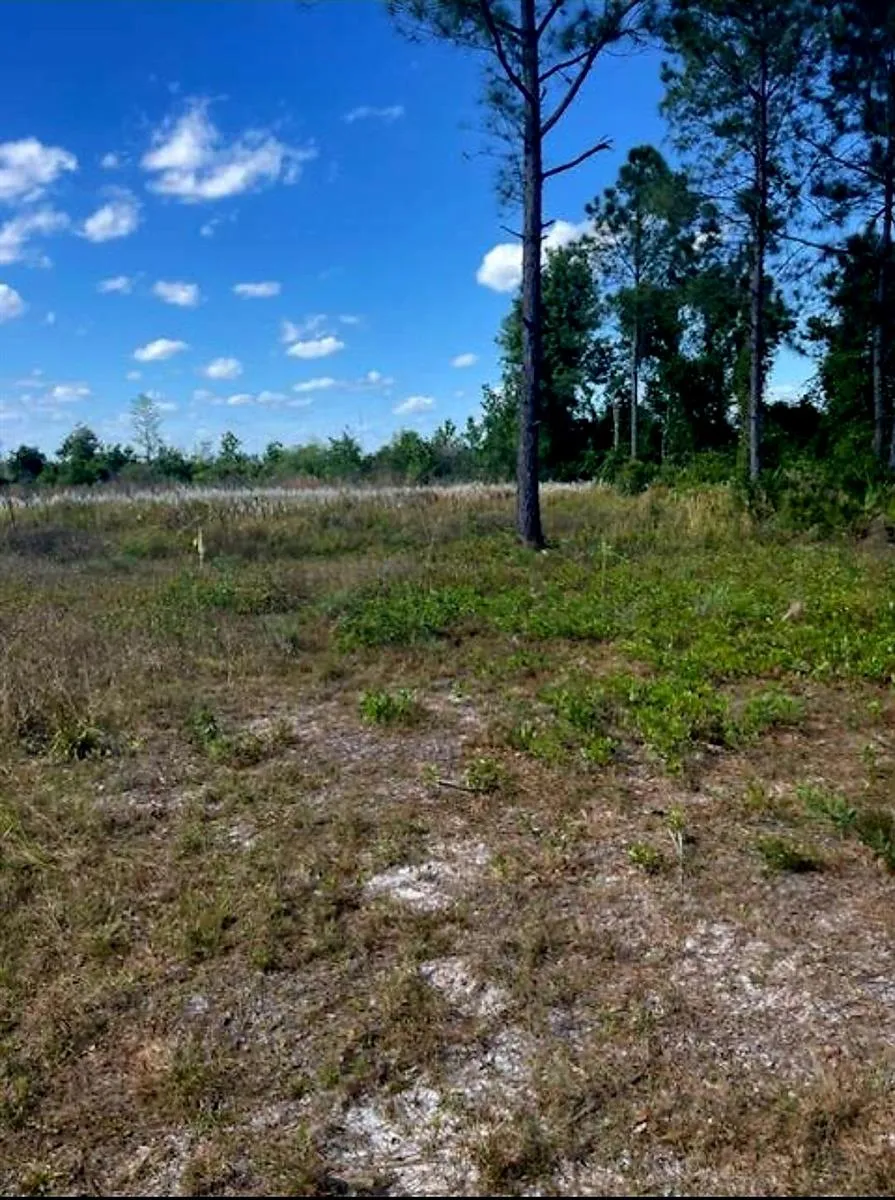 1108306 Oil Well Road Clermont, FL 34714