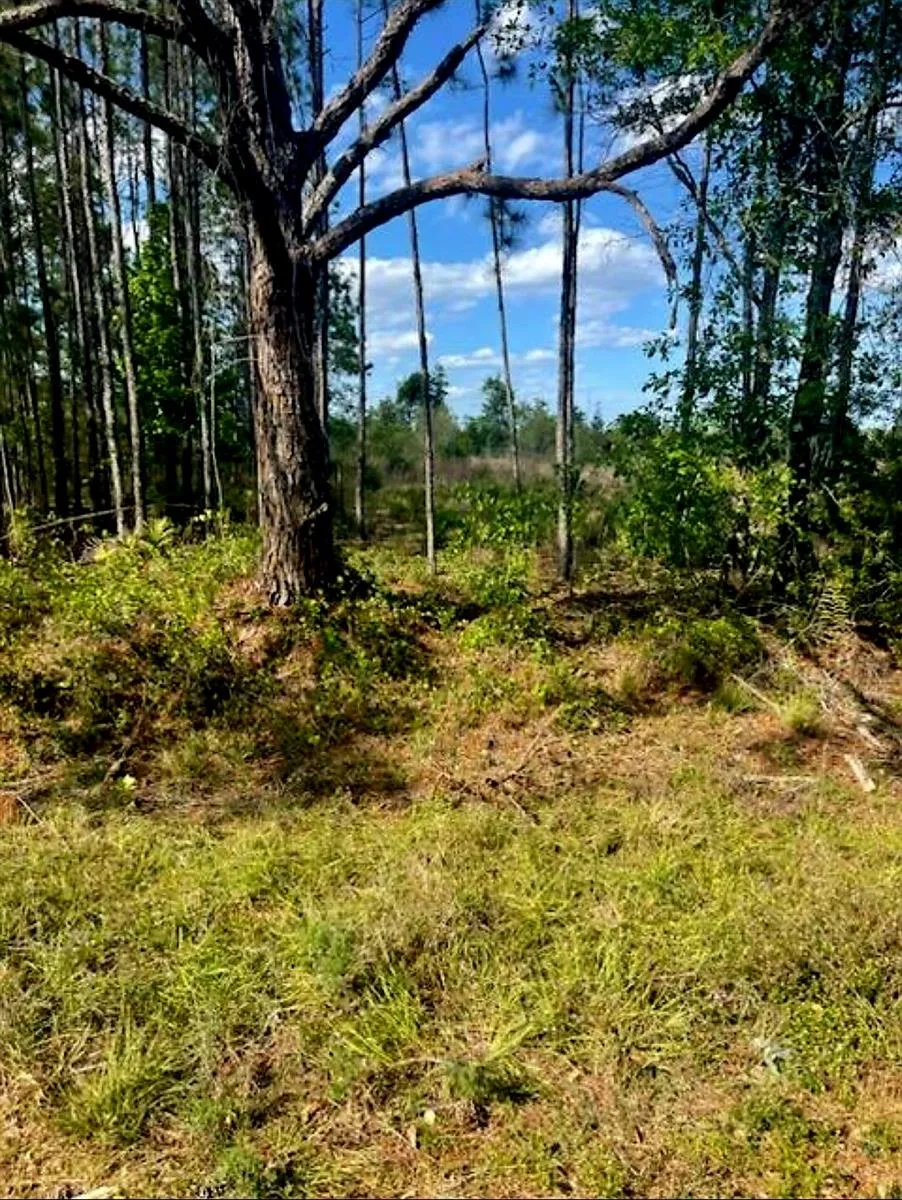 1108306 Oil Well Road Clermont, FL 34714