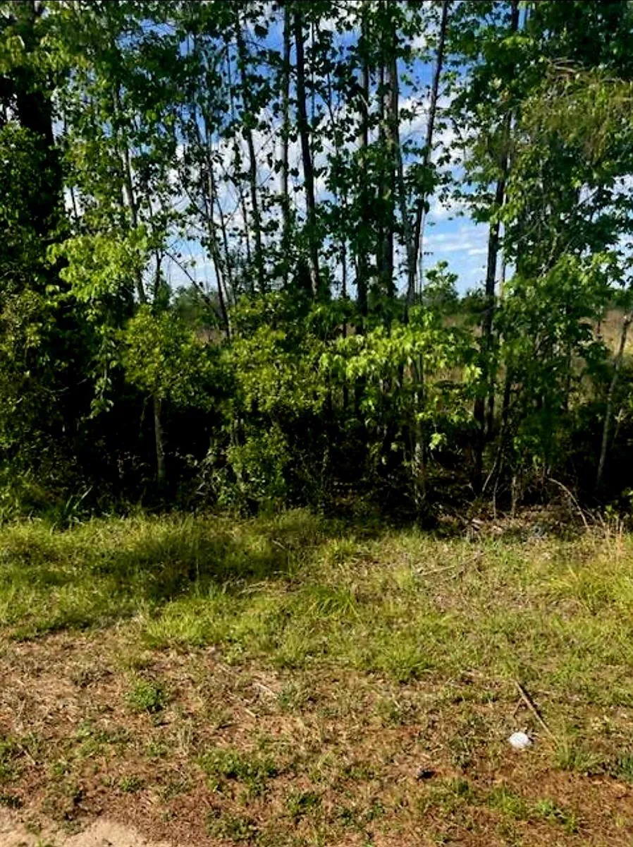 1108306 Oil Well Road Clermont, FL 34714
