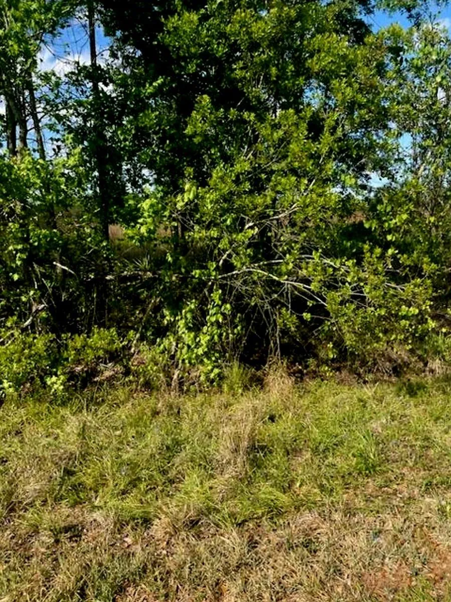 1108306 Oil Well Road Clermont, FL 34714