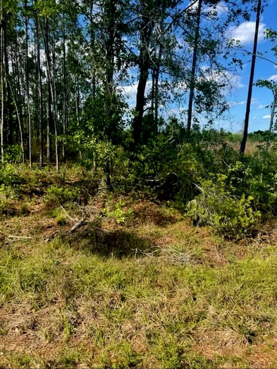 1108306 Oil Well Road Clermont, FL 34714