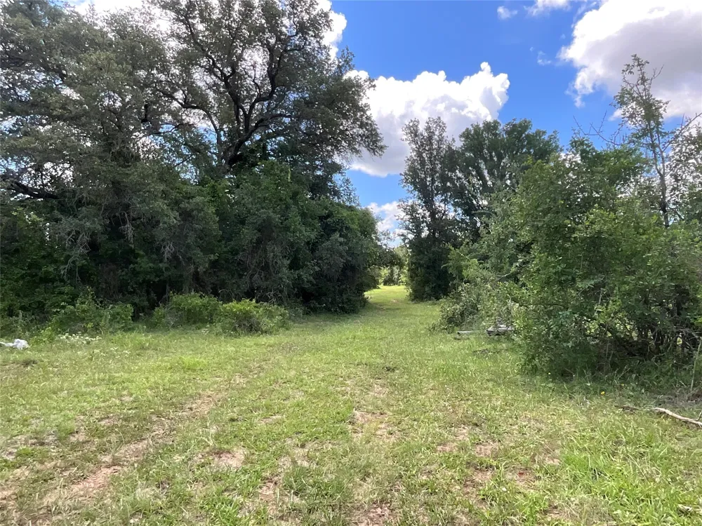W FM 2486 Gustine, TX 76455