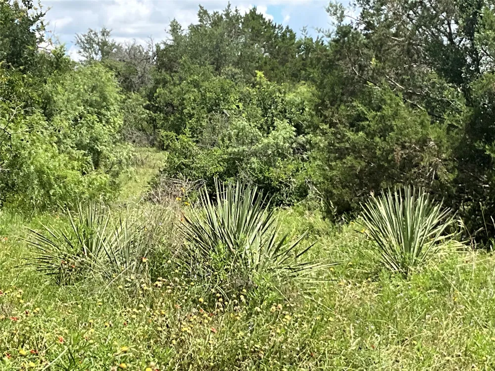 W FM 2486 Gustine, TX 76455