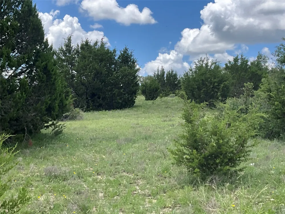W FM 2486 Gustine, TX 76455