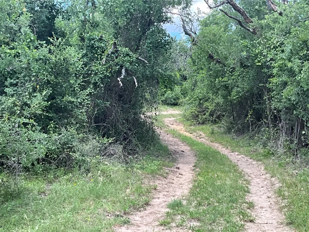 W FM 2486 Gustine, TX 76455