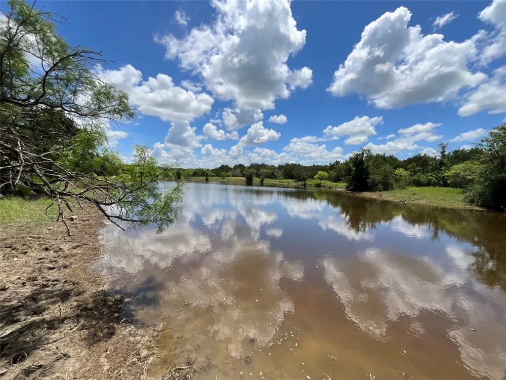 W FM 2486 Gustine, TX 76455