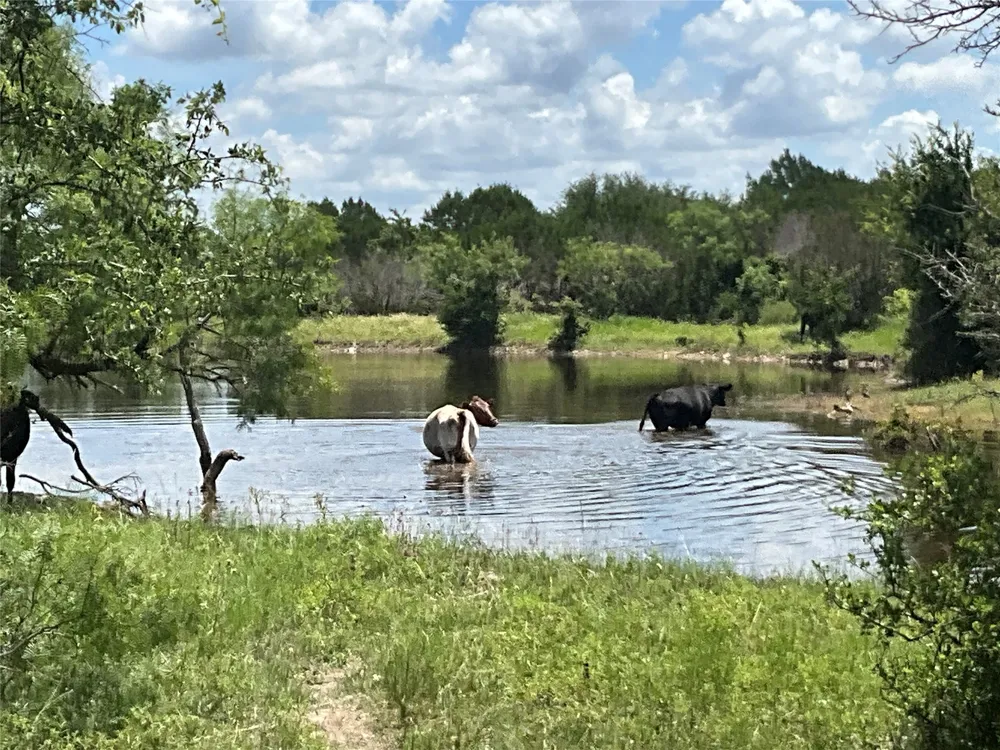 W FM 2486 Gustine, TX 76455