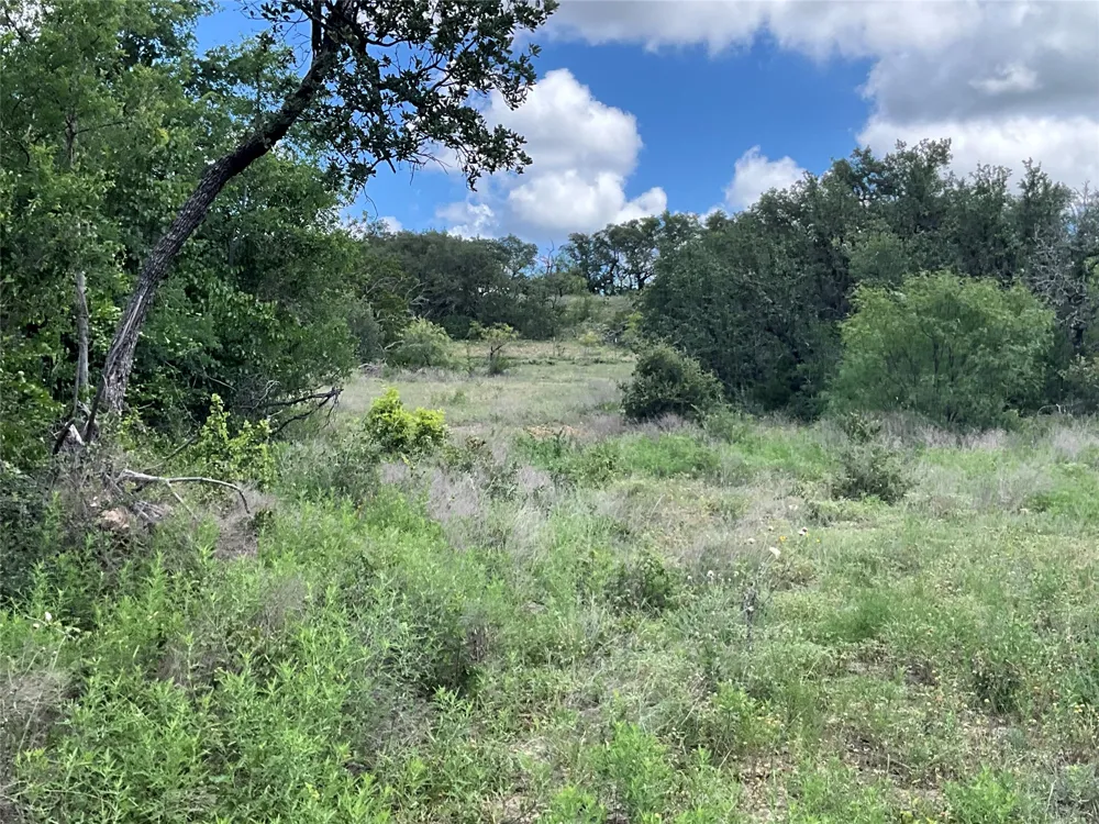W FM 2486 Gustine, TX 76455