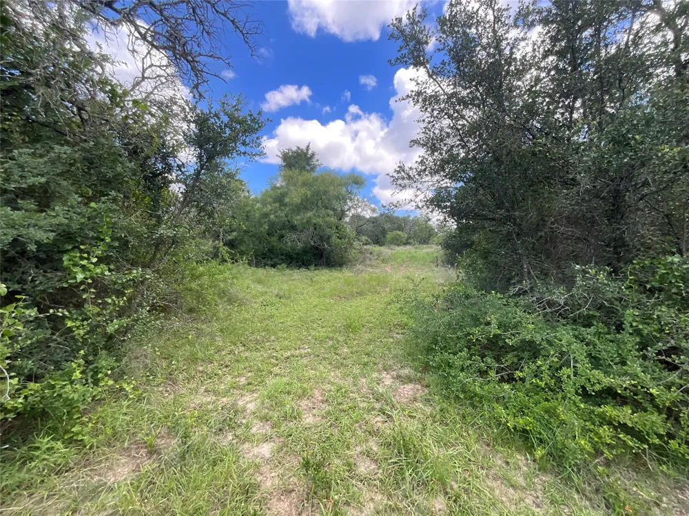 W FM 2486 Gustine, TX 76455