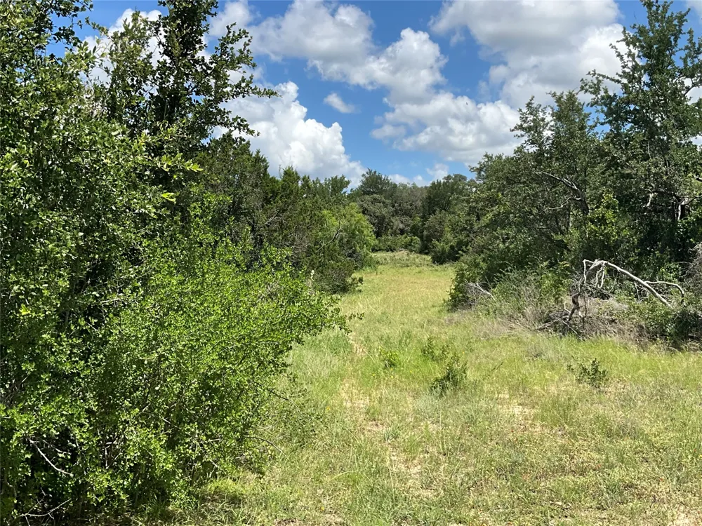 W FM 2486 Gustine, TX 76455