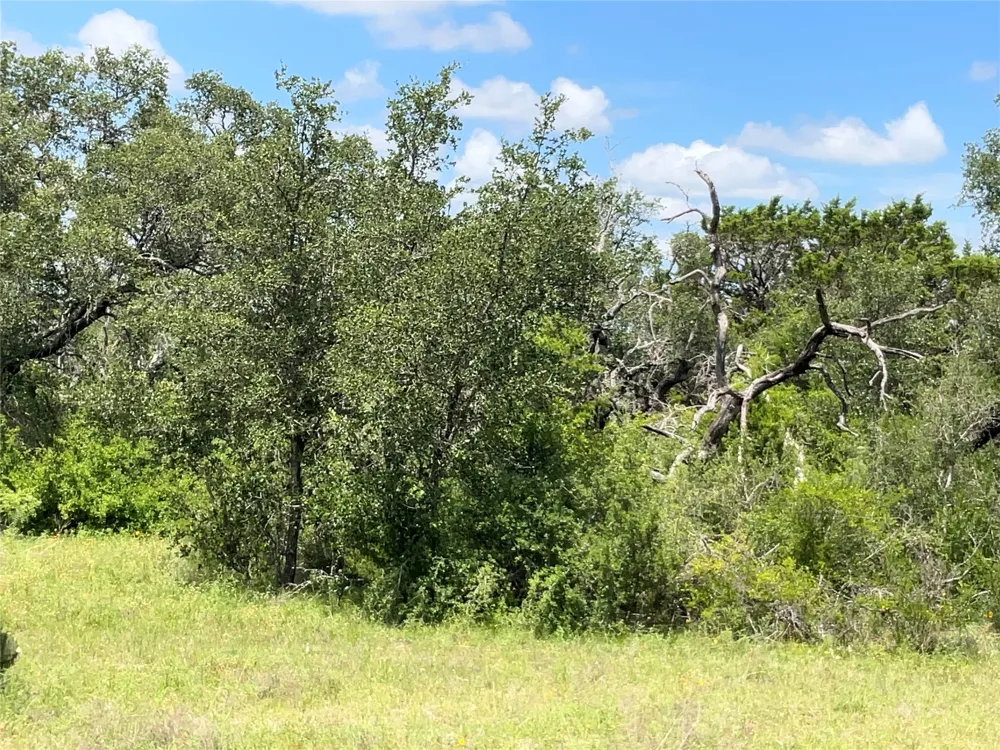 W FM 2486 Gustine, TX 76455