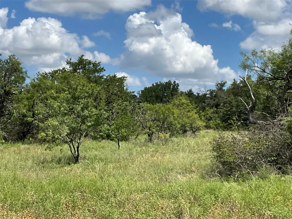 W FM 2486 Gustine, TX 76455